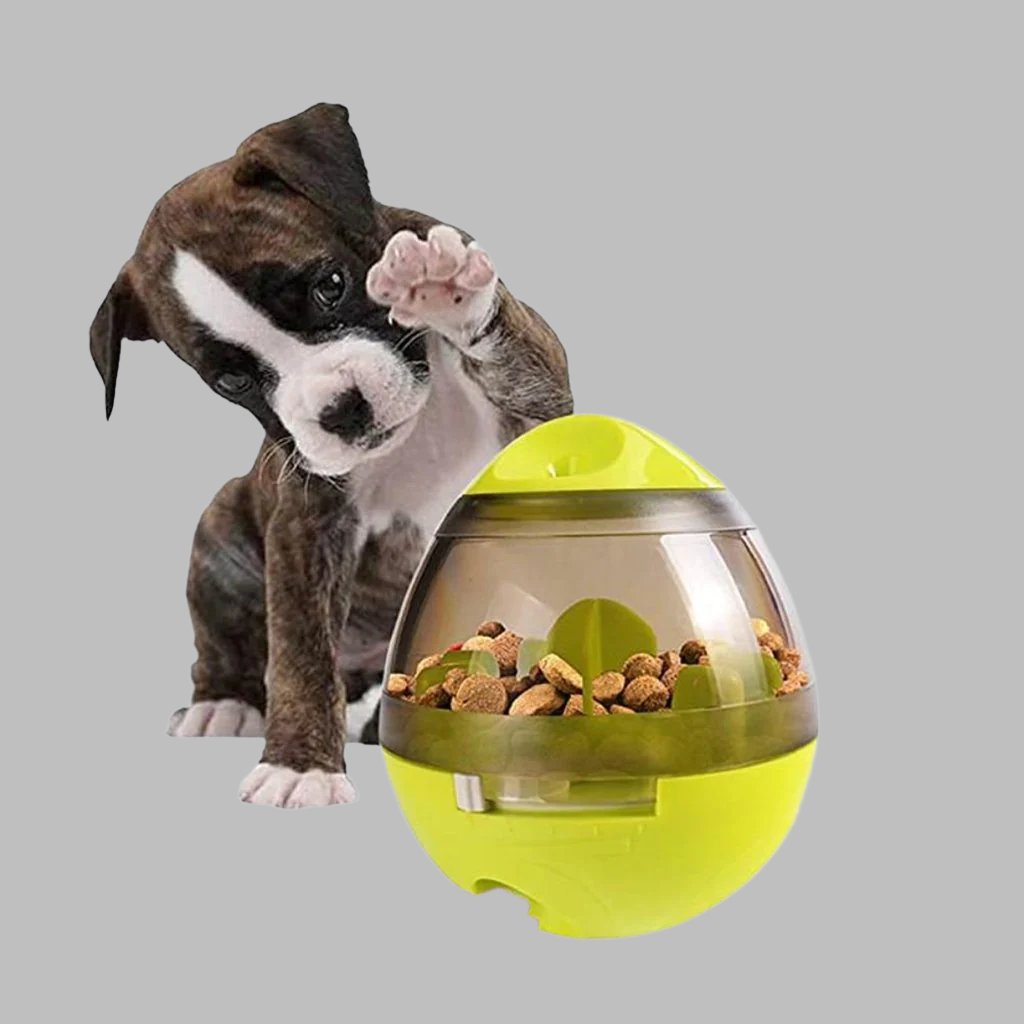 Dog Food Dispenser